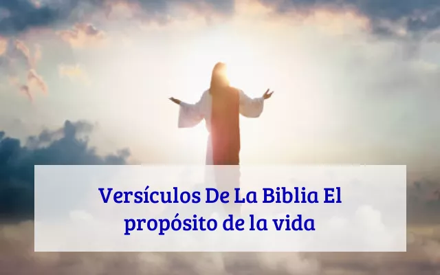 Versículos De La Biblia El propósito de la vida