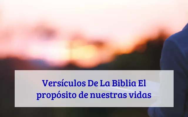Versículos De La Biblia El propósito de nuestras vidas