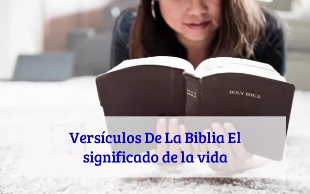 Versículos De La Biblia El significado de la vida