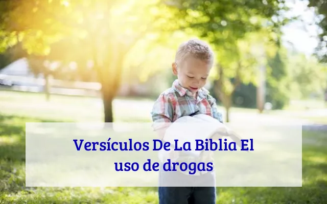 Versículos De La Biblia El uso de drogas