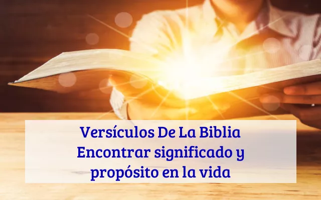 Versículos De La Biblia Encontrar significado y propósito en la vida