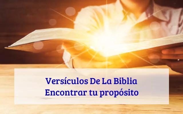 Versículos De La Biblia Encontrar tu propósito