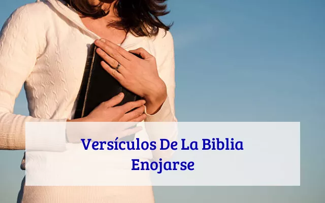 Versículos De La Biblia Enojarse