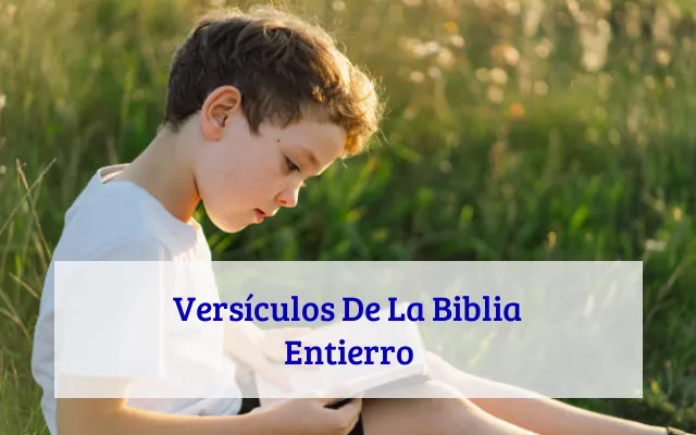 Versículos De La Biblia Entierro