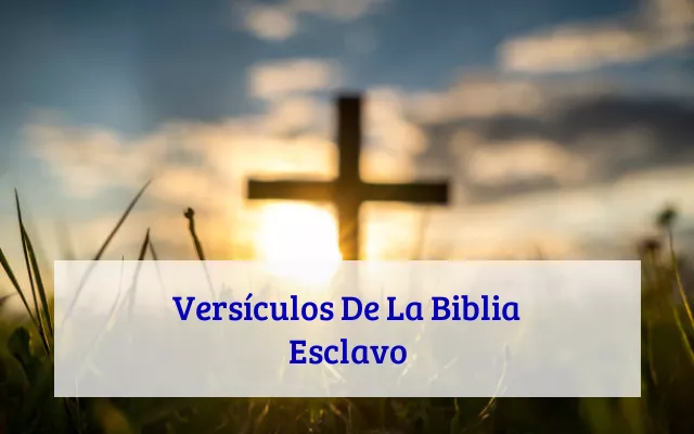 Versículos De La Biblia Esclavo