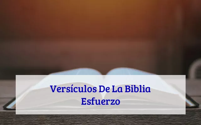 Versículos De La Biblia Esfuerzo
