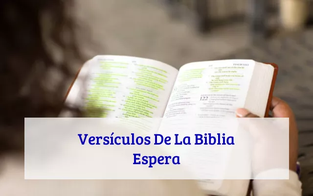 Versículos De La Biblia Espera