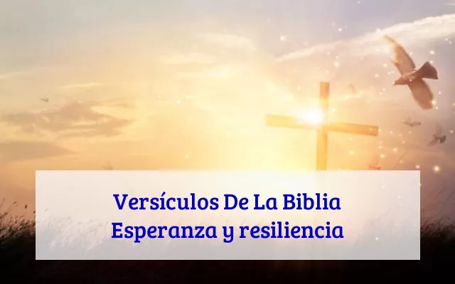 Versículos De La Biblia Esperanza y resiliencia