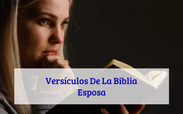 Versículos De La Biblia Esposa