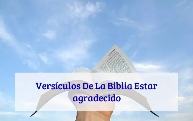 Versículos De La Biblia Estar agradecido