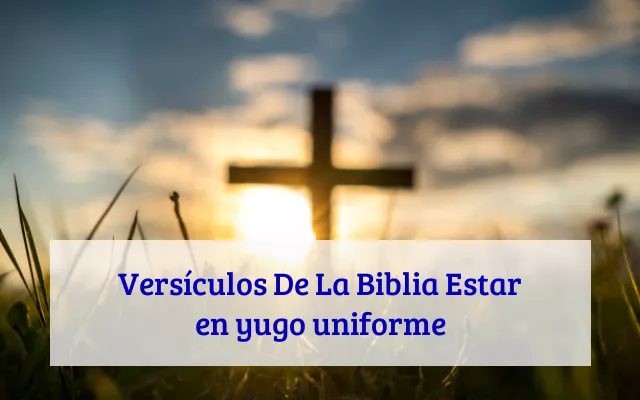 Versículos De La Biblia Estar en yugo uniforme