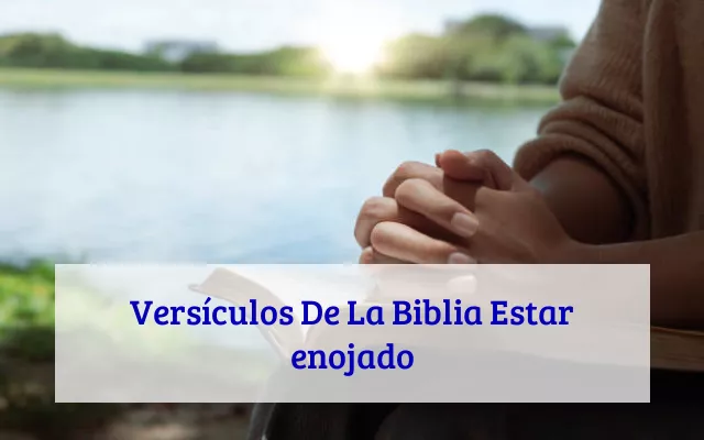 Versículos De La Biblia Estar enojado