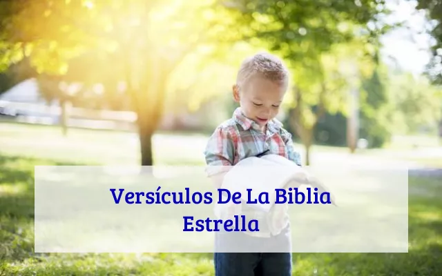 Versículos De La Biblia Estrella