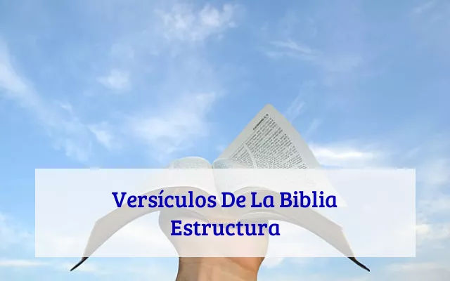 Versículos De La Biblia Estructura