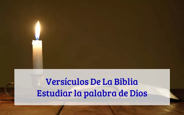 Versículos De La Biblia Estudiar la palabra de Dios