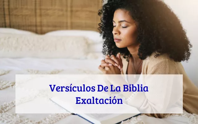Versículos De La Biblia Exaltación