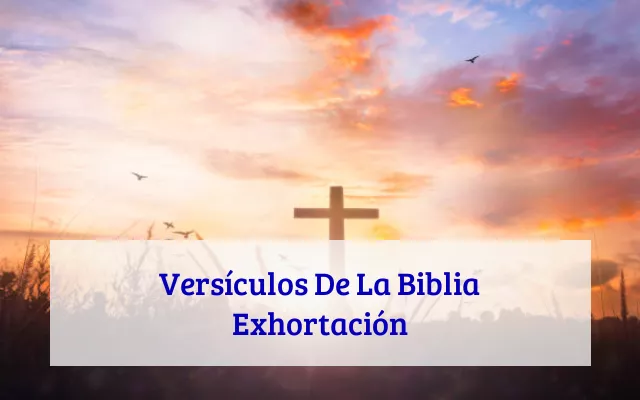 Versículos De La Biblia Exhortación