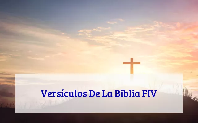 Versículos De La Biblia FIV