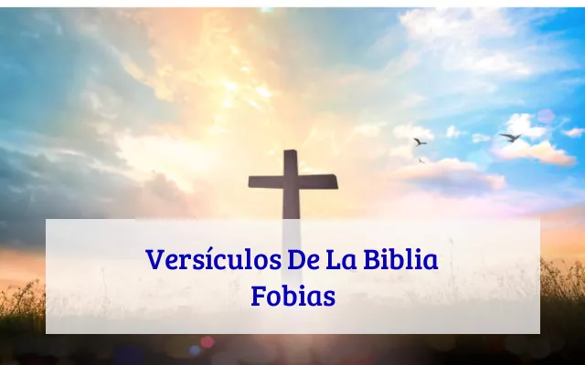 Versículos De La Biblia Fobias
