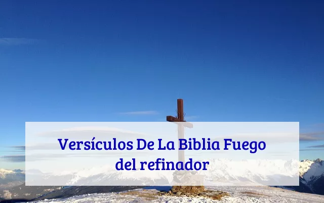 Versículos De La Biblia Fuego del refinador