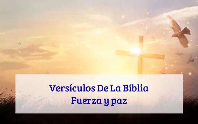 Versículos De La Biblia Fuerza y paz