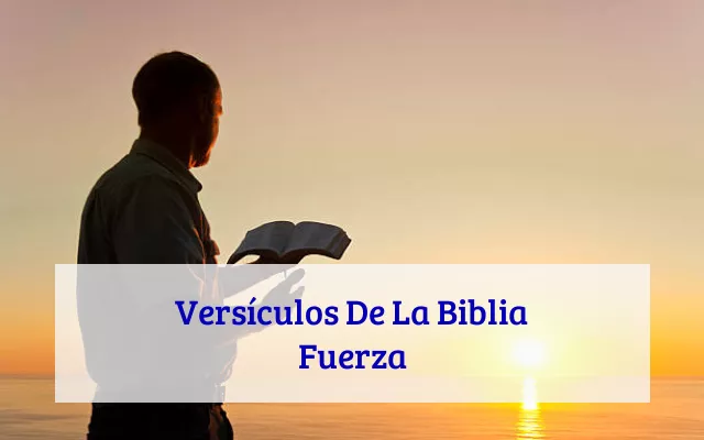 Versículos De La Biblia Fuerza