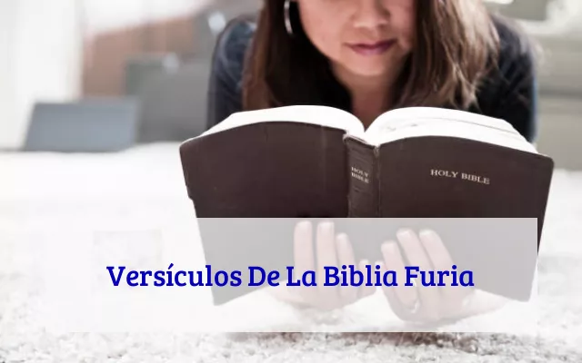 Versículos De La Biblia Furia