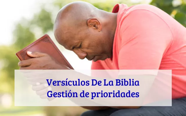 Versículos De La Biblia Gestión de prioridades