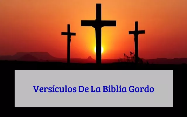 Versículos De La Biblia Gordo
