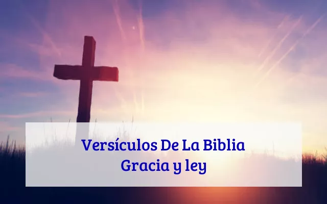 Versículos De La Biblia Gracia y ley