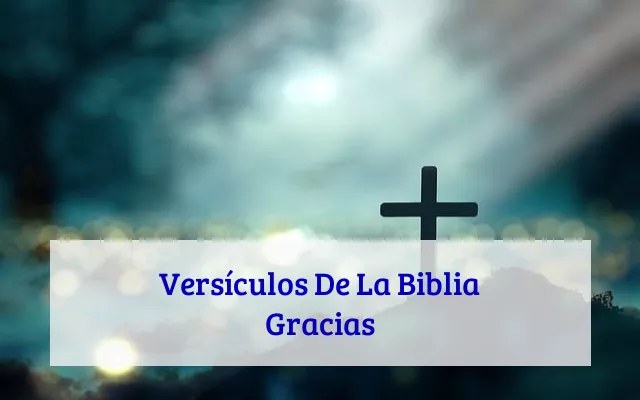 Versículos De La Biblia Gracias