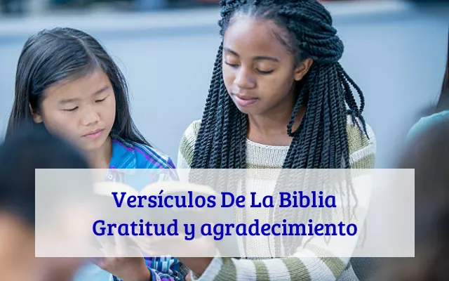 Versículos De La Biblia Gratitud y agradecimiento