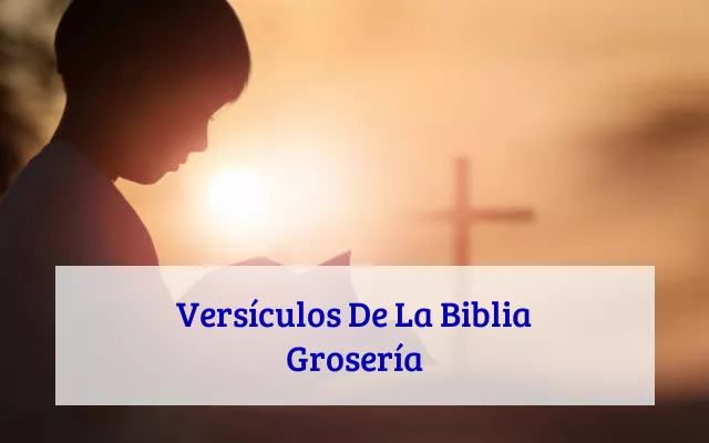Versículos De La Biblia Grosería