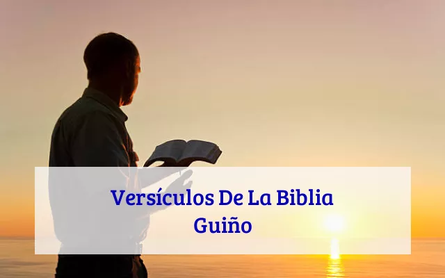 Versículos De La Biblia Guiño