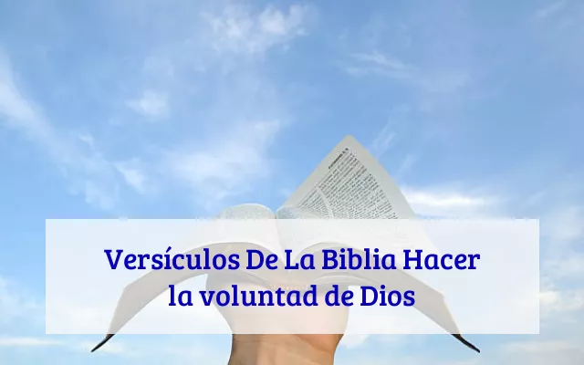 Versículos De La Biblia Hacer la voluntad de Dios