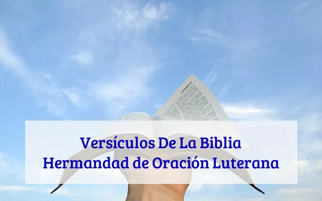 Versículos De La Biblia Hermandad de Oración Luterana