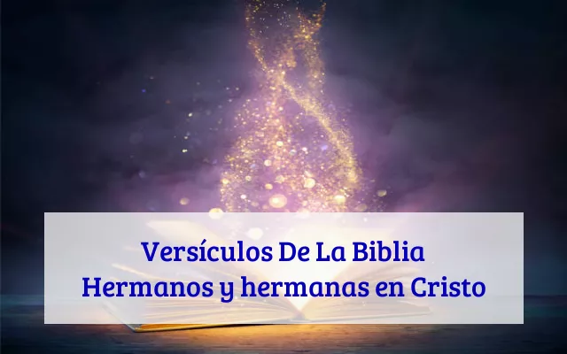 Versículos De La Biblia Hermanos y hermanas en Cristo