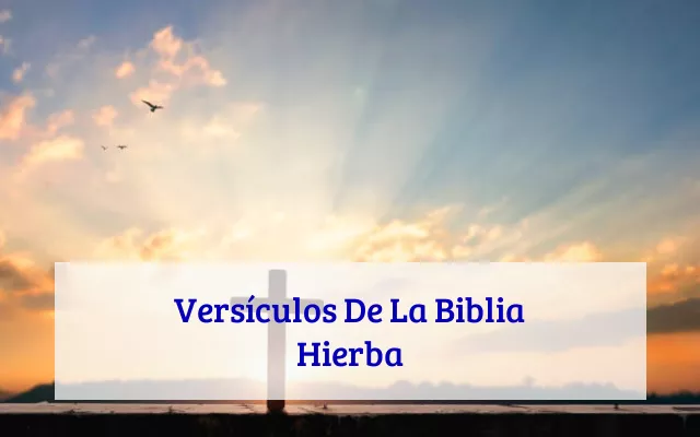 Versículos De La Biblia Hierba