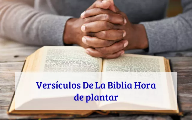 Versículos De La Biblia Hora de plantar
