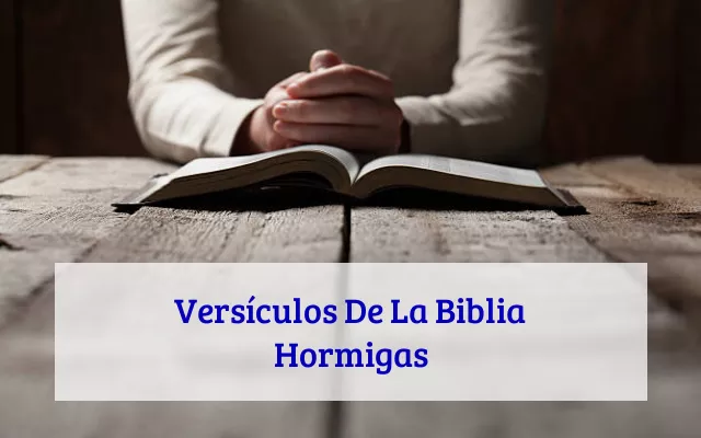 Versículos De La Biblia Hormigas