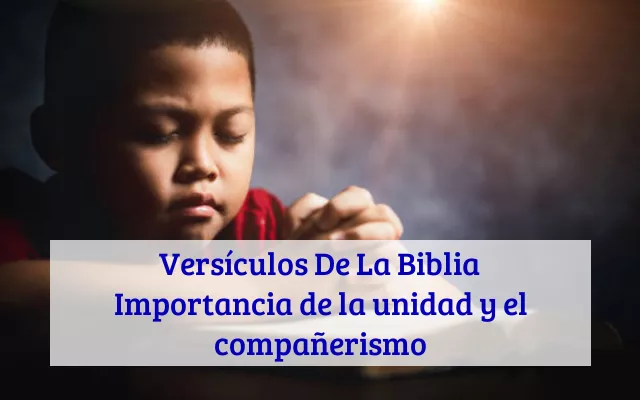 Versículos De La Biblia Importancia de la unidad y el compañerismo