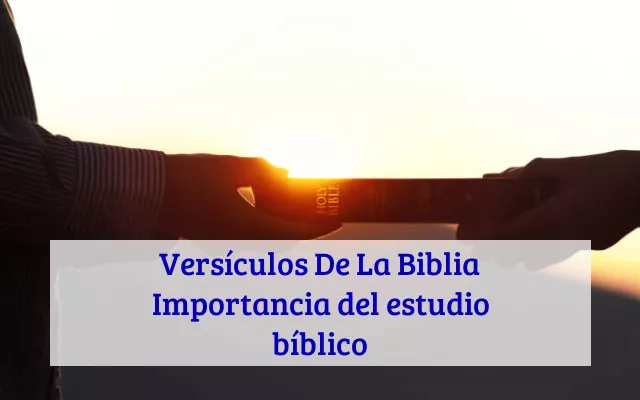 Versículos De La Biblia Importancia del estudio bíblico