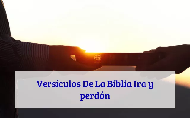 Versículos De La Biblia Ira y perdón