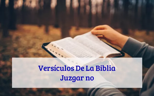 Versículos De La Biblia Juzgar no