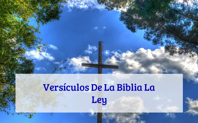 Versículos De La Biblia La Ley