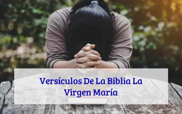 Versículos De La Biblia La Virgen María