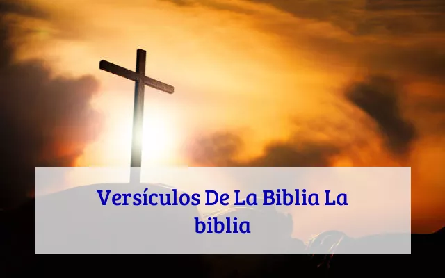 Versículos De La Biblia La biblia