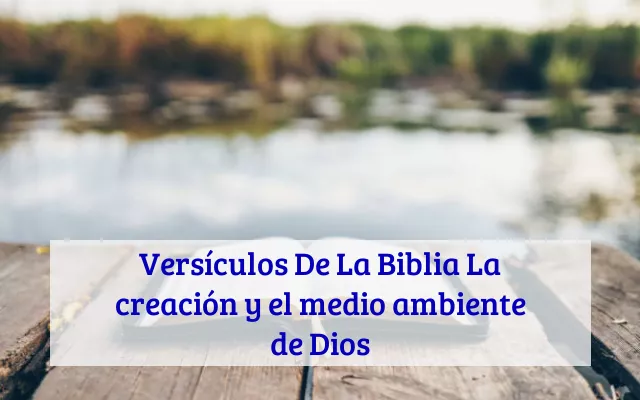 Versículos De La Biblia La creación y el medio ambiente de Dios