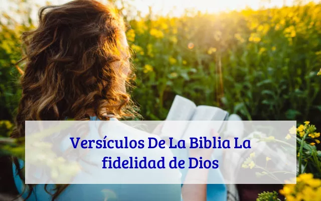 Versículos De La Biblia La fidelidad de Dios