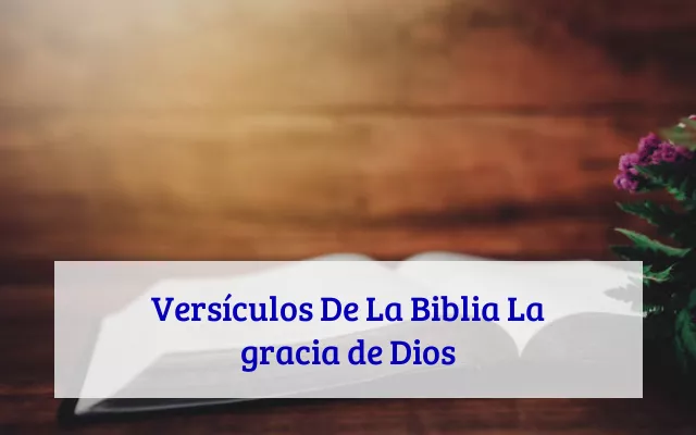 Versículos De La Biblia La gracia de Dios